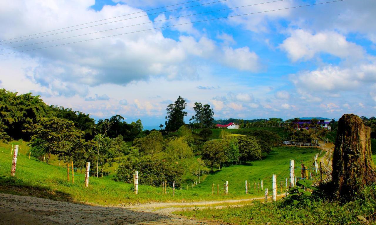 Casa Laureles