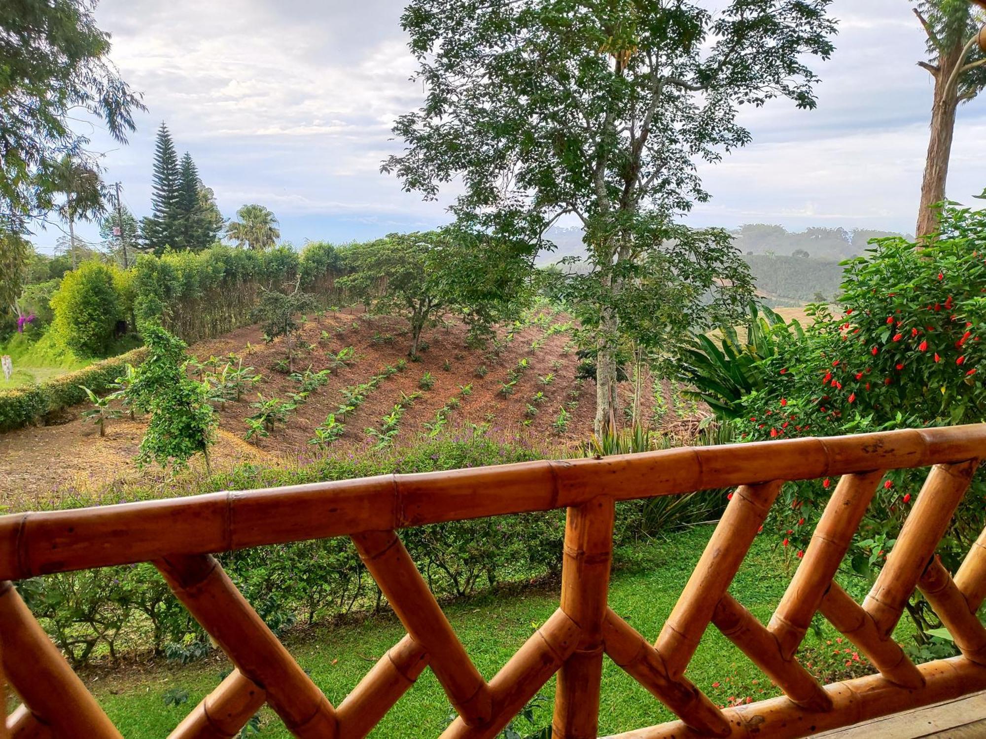 Homestay Casa Laureles Filandia